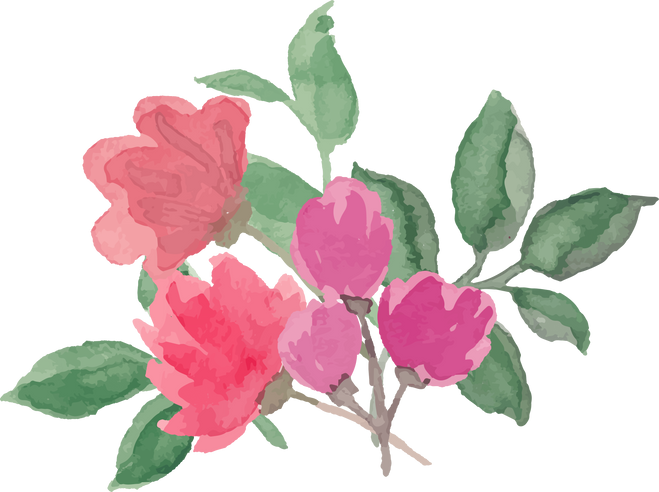 Watercolor Flowers Illustration